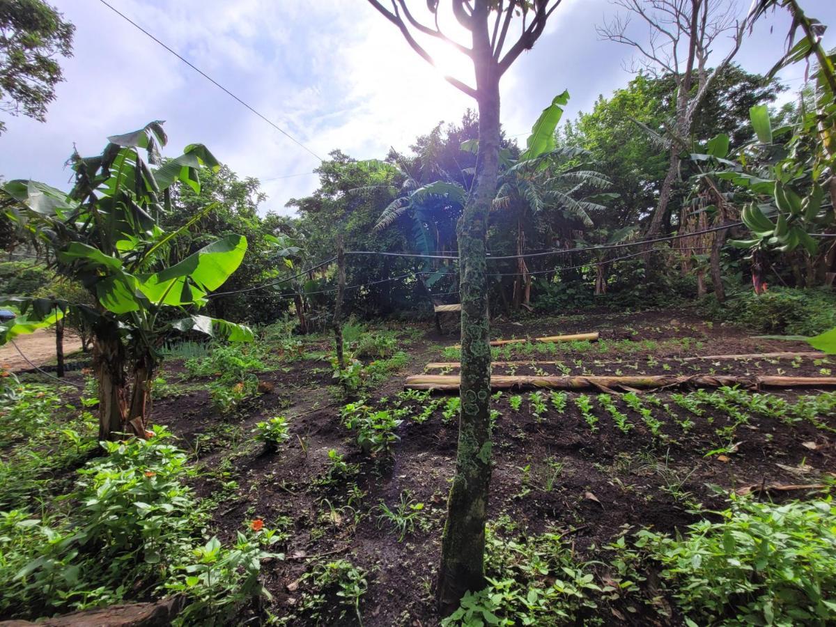 Granja Los Campesinos الجبل الأخضر المظهر الخارجي الصورة