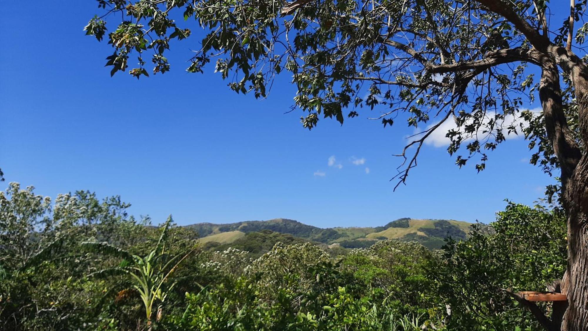 Granja Los Campesinos الجبل الأخضر المظهر الخارجي الصورة