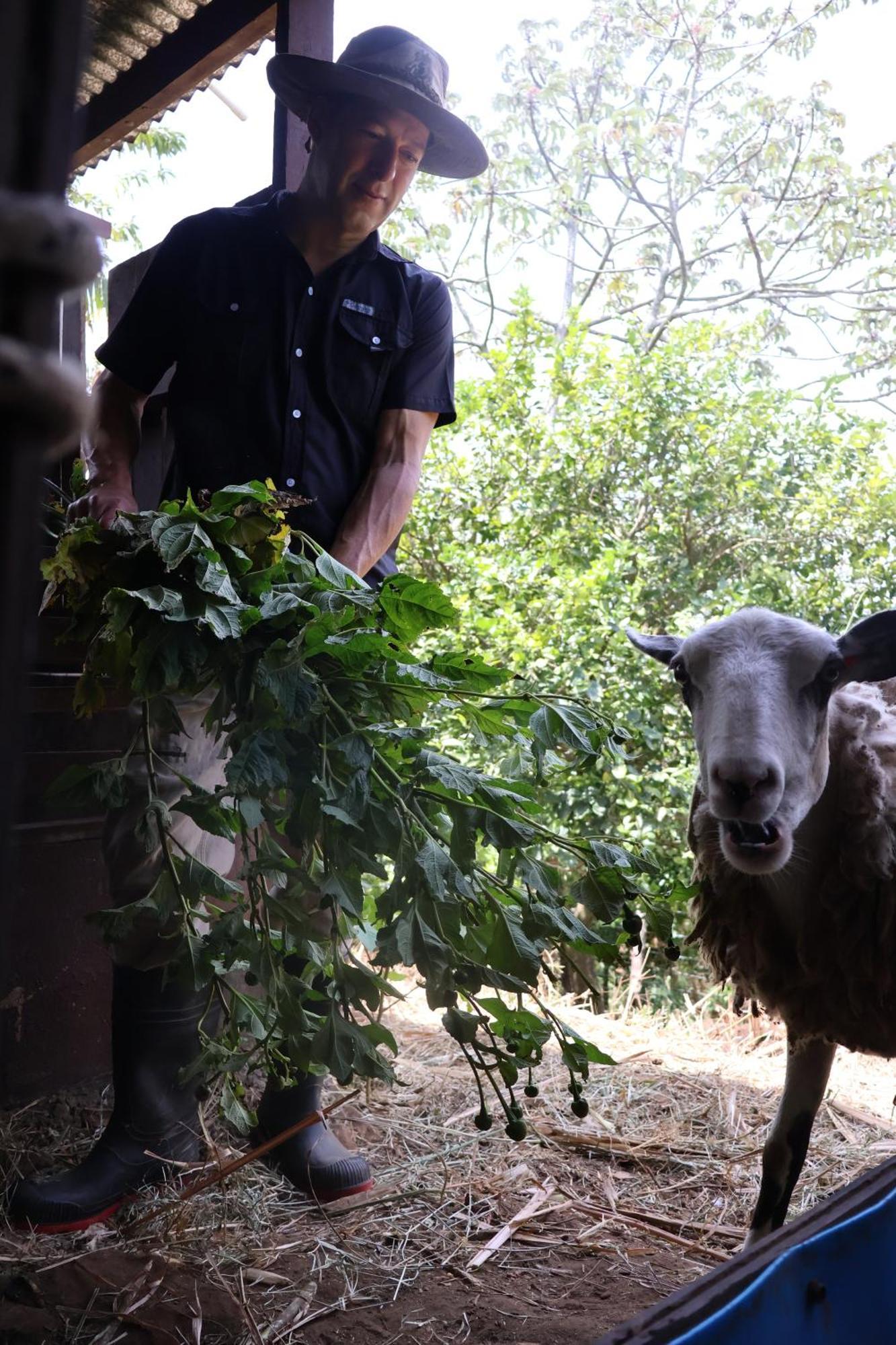 Granja Los Campesinos الجبل الأخضر المظهر الخارجي الصورة